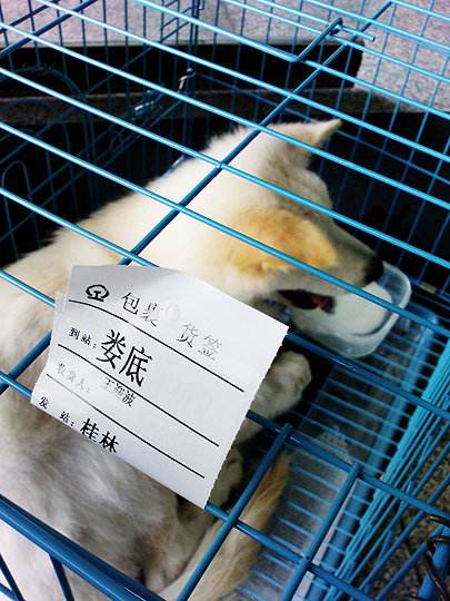 火車托運